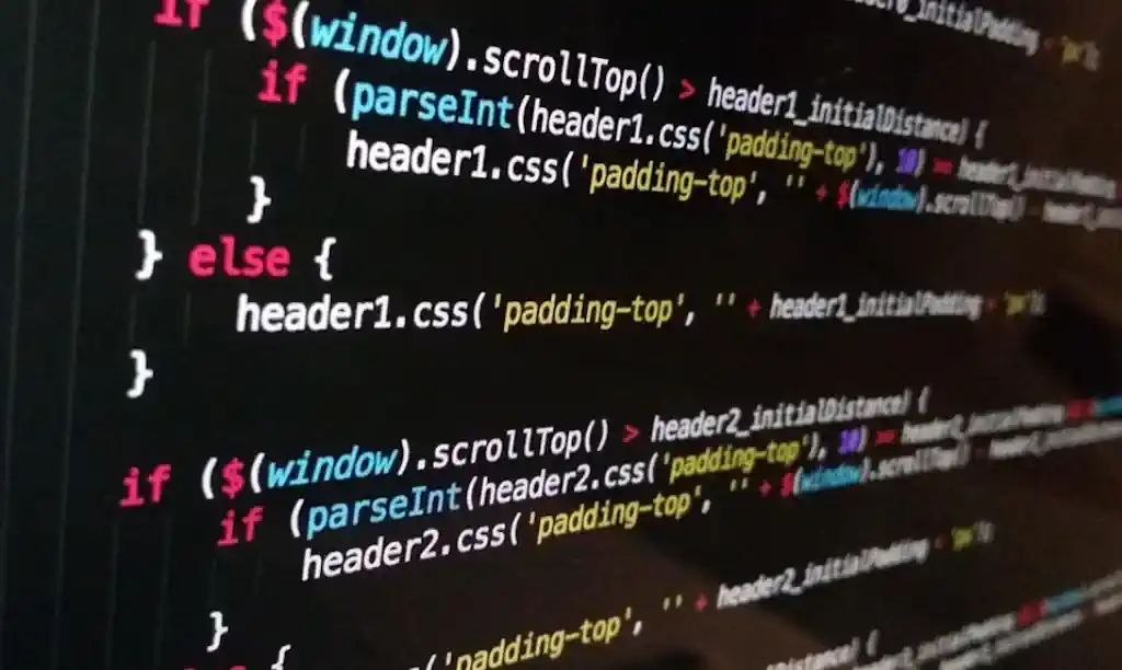 Shopify ili Custom Web Shop